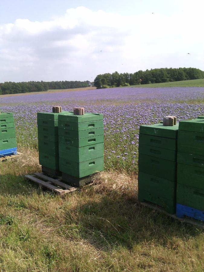 Вілла Kalmar 6 Kagsdorf Екстер'єр фото